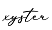 单词xyster书写