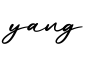 单词yang书写