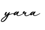 单词yara书写