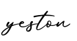 单词yeston书写