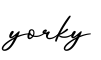 单词yorky书写