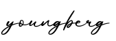 单词youngberg书写