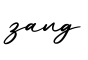 单词zang书写