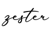 单词zester书写