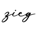 单词zieg书写
