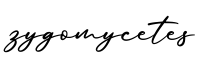 单词zygomycetes书写
