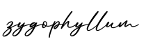 单词zygophyllum书写