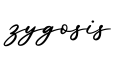 单词zygosis书写